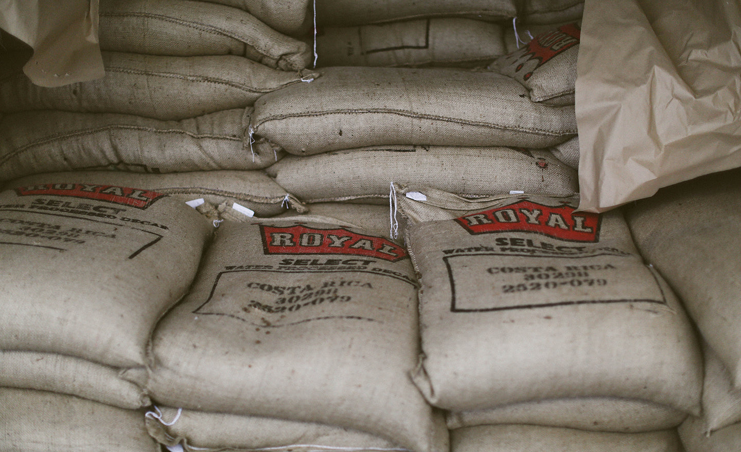 royal coffee green coffee bags stacked on top of each other