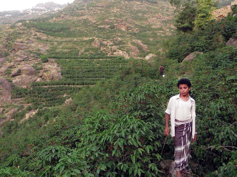 Opinion: Exclusionism is a Threat to Coffee