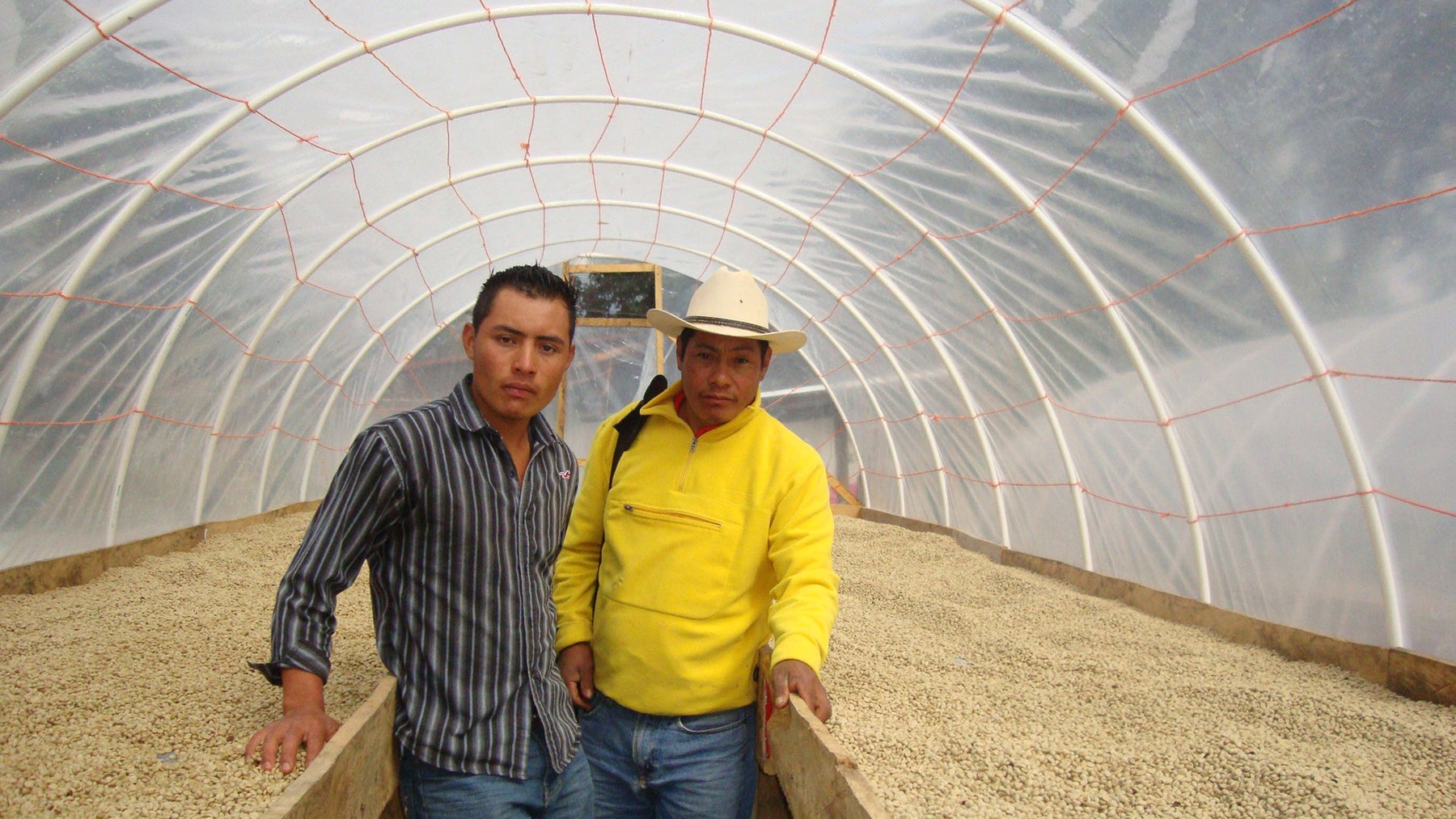 Catracha Implementing Climate Edge Meteorological Technology