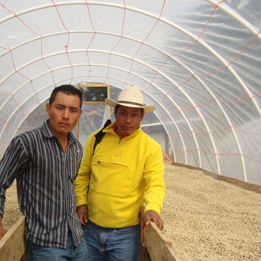 Catracha Implementing Climate Edge Meteorological Technology