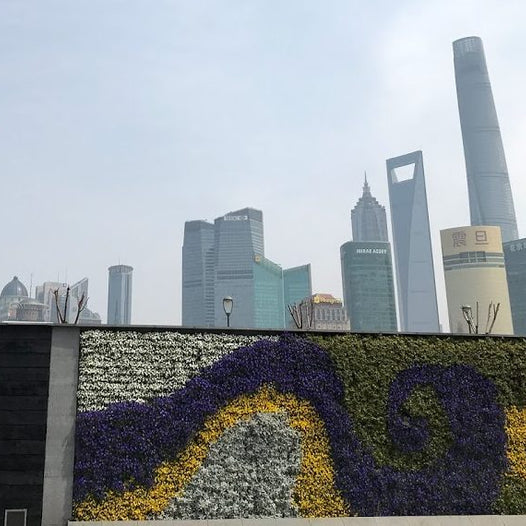 Royal Visits Beijing & Shanghai