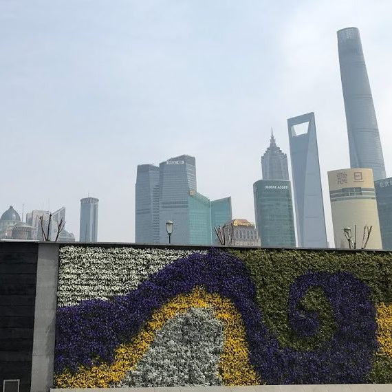 Royal Visits Beijing & Shanghai