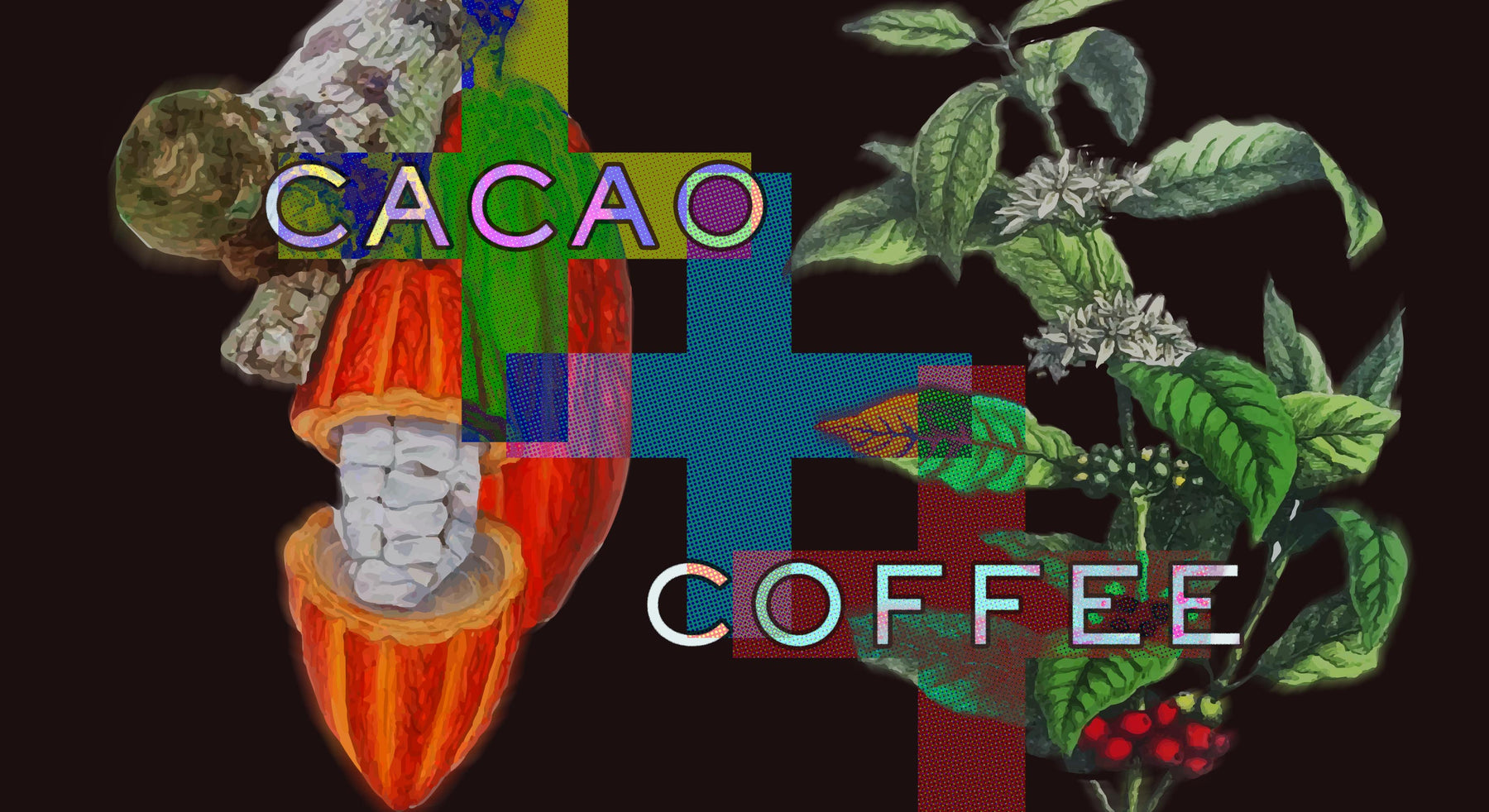 Cacao + Coffee Roasting Summit