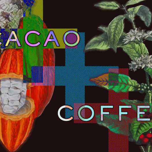 Cacao + Coffee Roasting Summit
