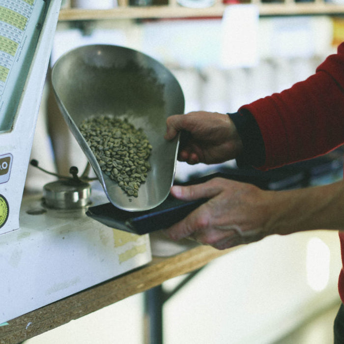 weighing green coffee