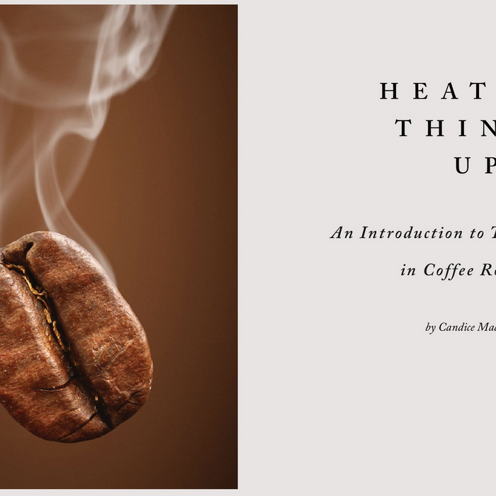 Heating Things Up – An Introduction to Thermodynamics in Coffee Roasting
