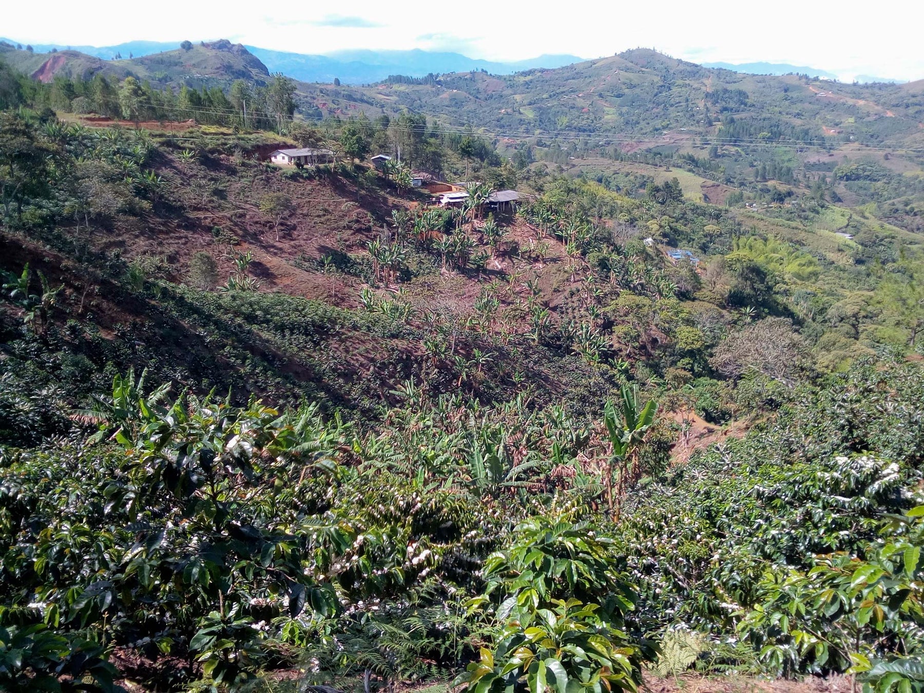 la calera popayan cauca