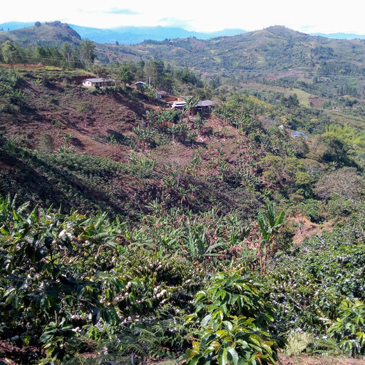 la calera popayan cauca