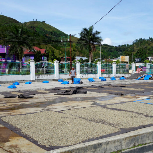 Junus Family, Sumatra Video