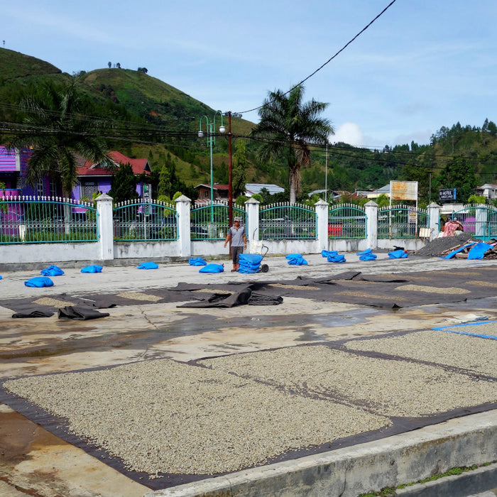 Junus Family, Sumatra Video