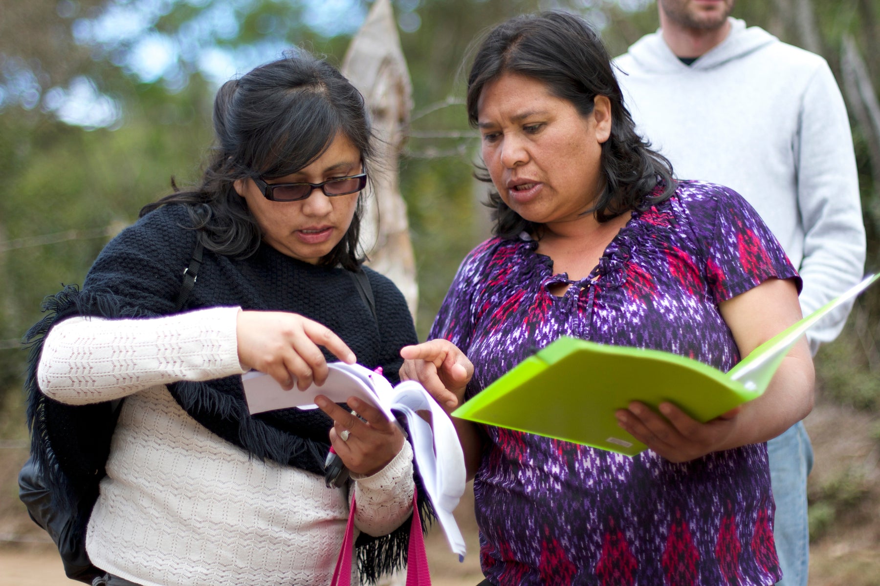 Honduras Update: Catracha Microlots Have Arrived