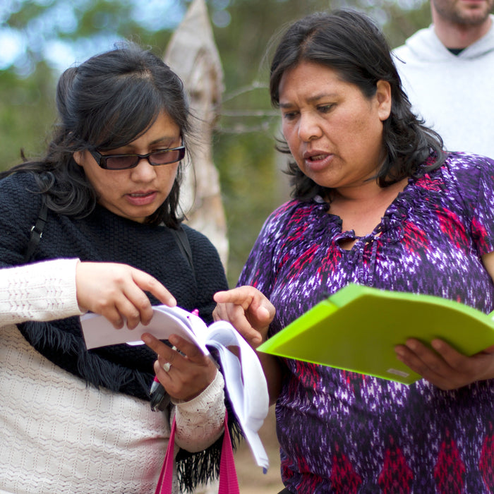 Honduras Update: Catracha Microlots Have Arrived