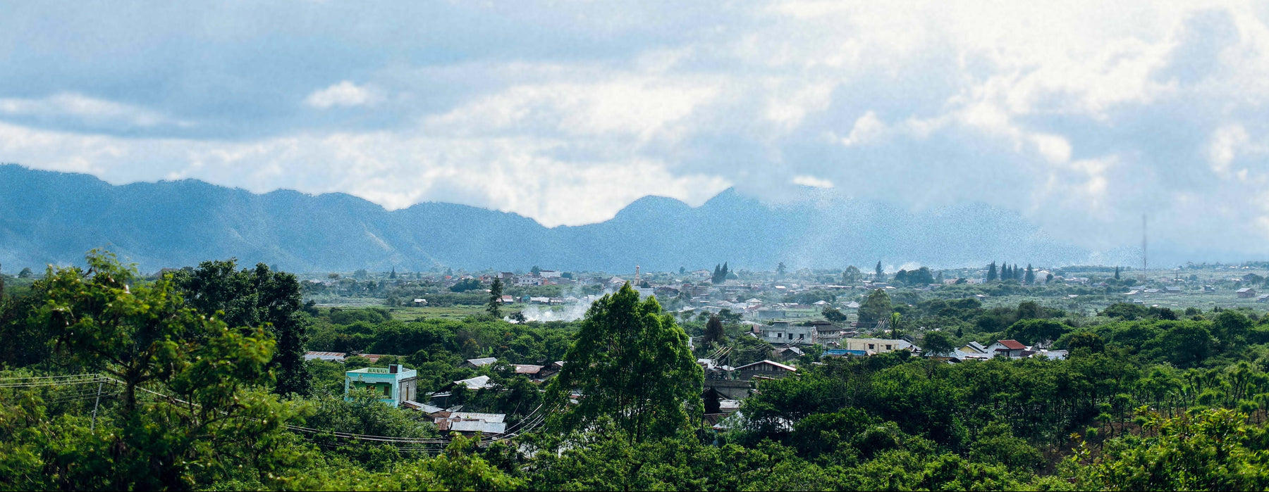 Producer Interview: Irham Yunus, owner of Jagong Mill in Sumatra, Indonesia