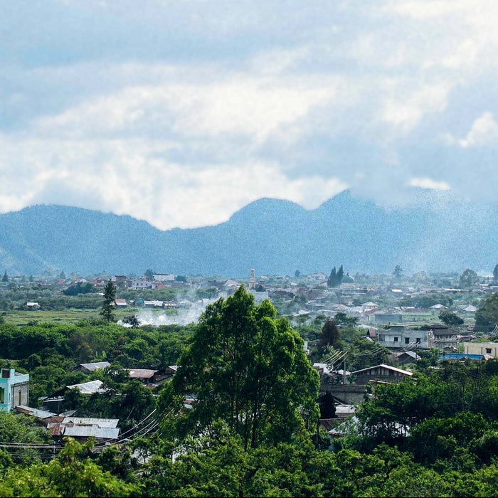 Producer Interview: Irham Yunus, owner of Jagong Mill in Sumatra, Indonesia