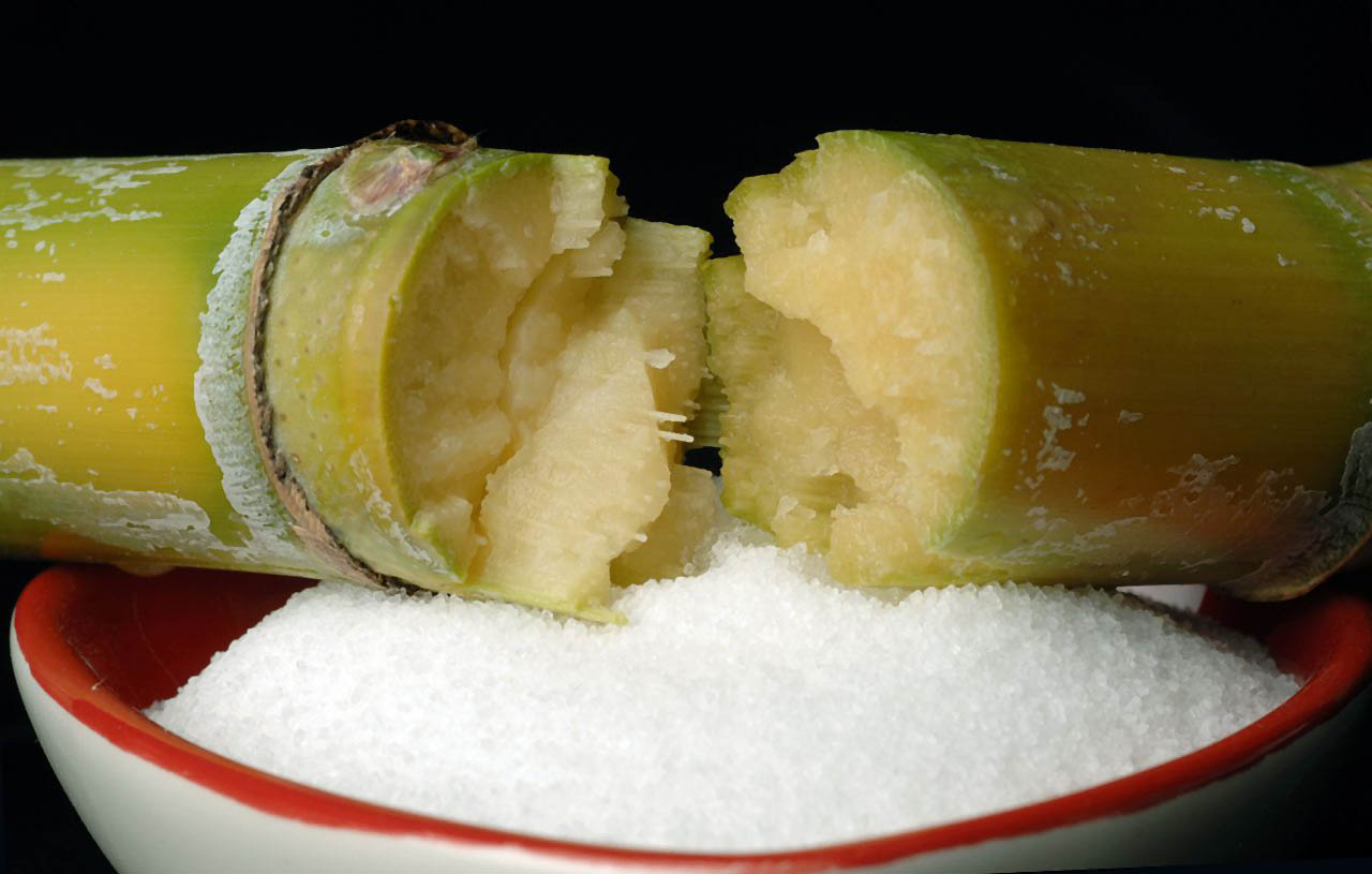 cut sugarcane
