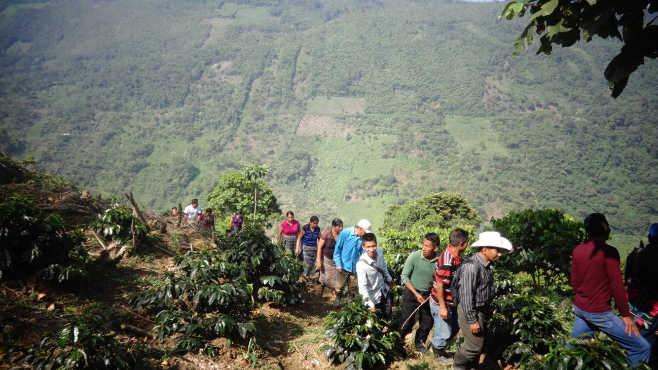 Producer Interview: Manuel Walfredo Diego José of ASOBAGRI, Guatemala