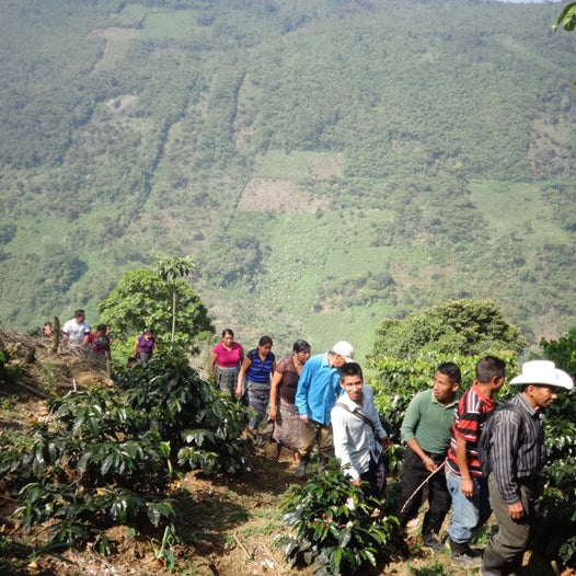 Producer Interview: Manuel Walfredo Diego José of ASOBAGRI, Guatemala