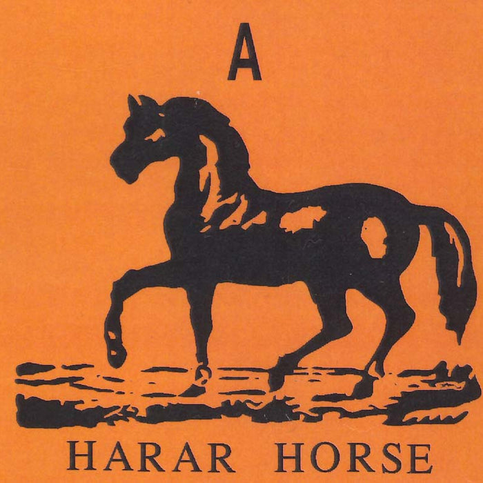 Back on the Horse