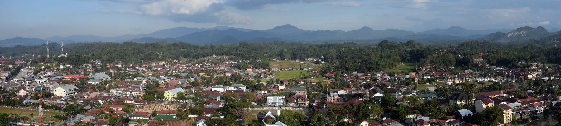 An Archipelago of Flavors: Fresh Crop Coffees from the Asia Pacific Region