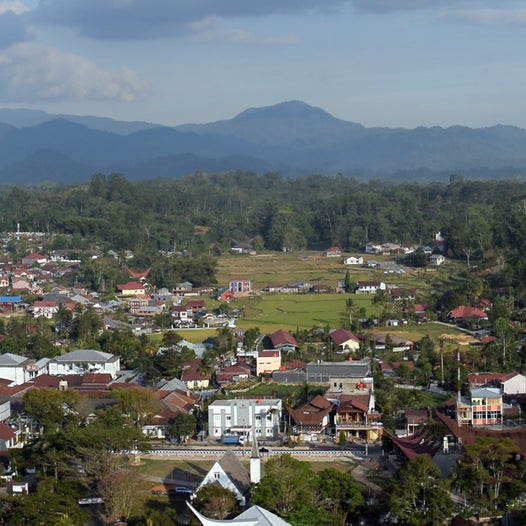 An Archipelago of Flavors: Fresh Crop Coffees from the Asia Pacific Region