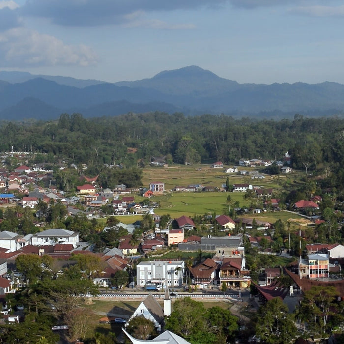 An Archipelago of Flavors: Fresh Crop Coffees from the Asia Pacific Region