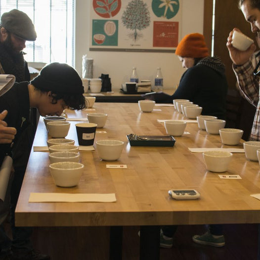 Coffee Courses in Berkeley at Bay Area CoRoasters