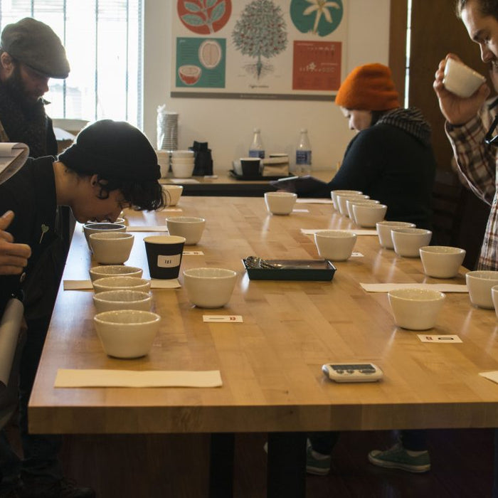 Coffee Courses in Berkeley at Bay Area CoRoasters