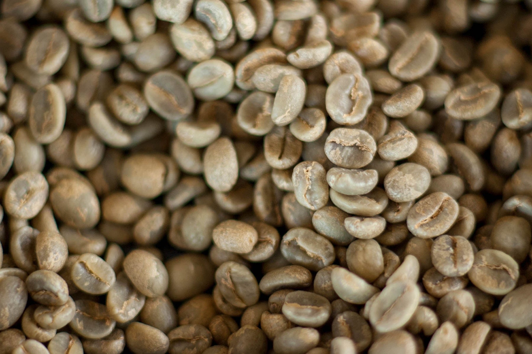 green coffee beans