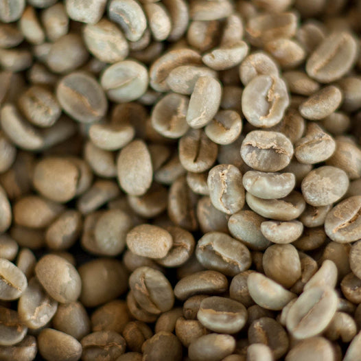green coffee beans