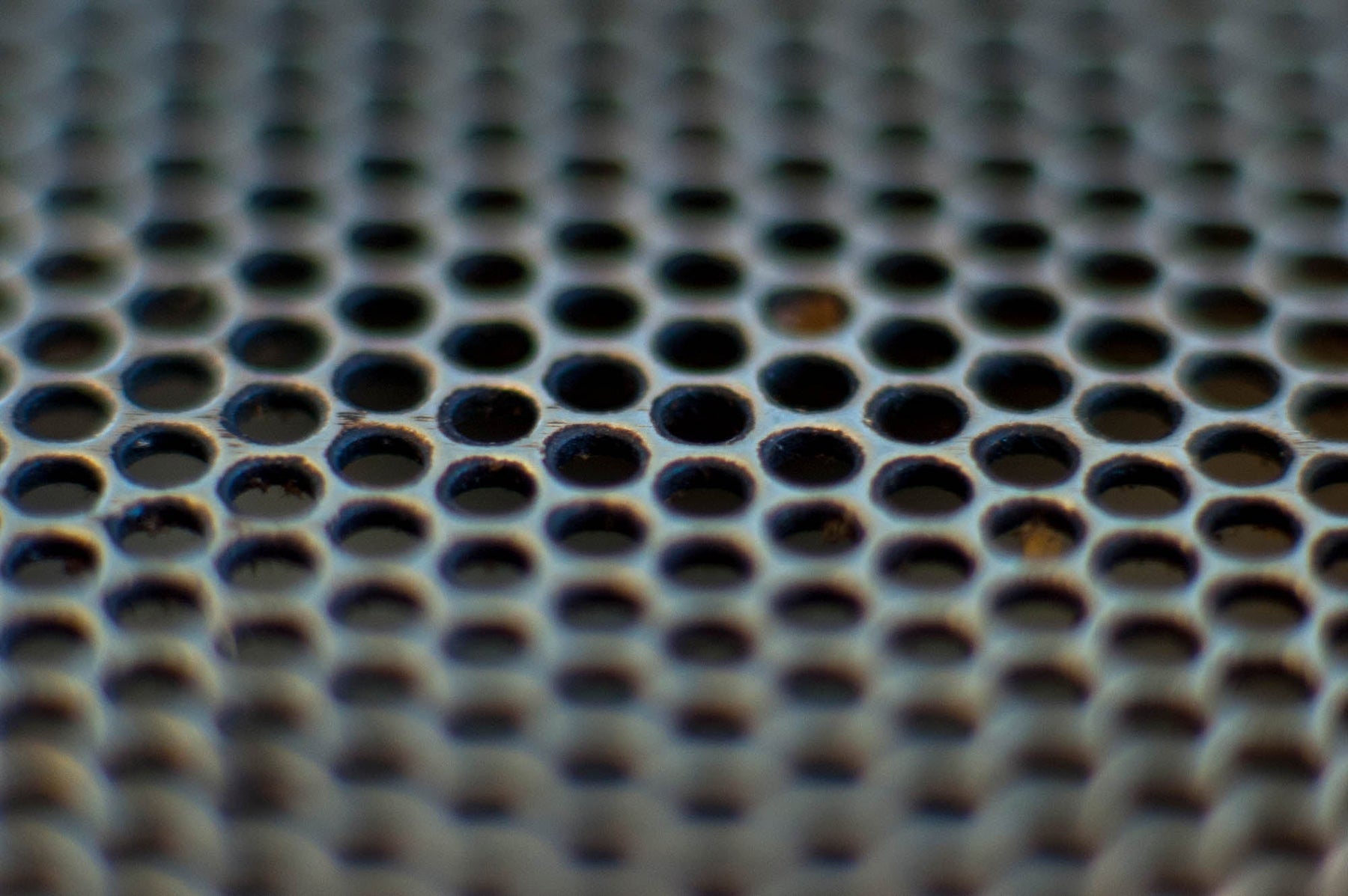 web_DSC_0032