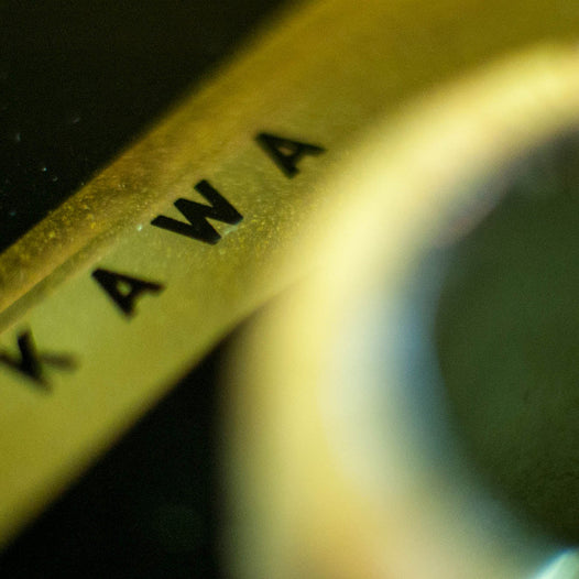 ikawa a small batch roaster