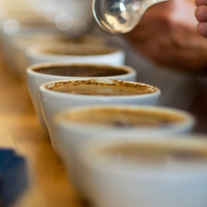white cupping cups