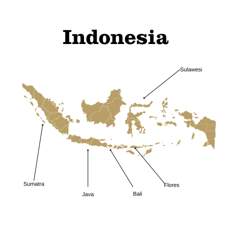 Map of Indonesia showing Sumatra, Java, Bali, Sulawesi, and Flores