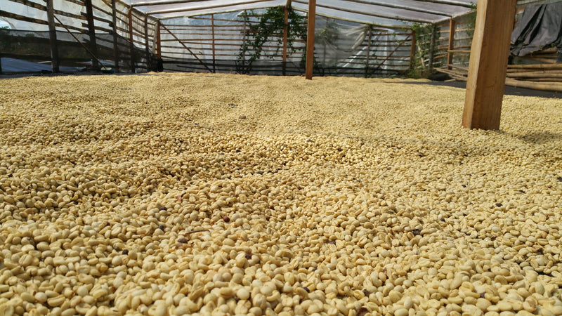 Colombia Supremo 17/18 - *51627* - 23895 - 70.0 kg Bags - SPOT RCWHSE