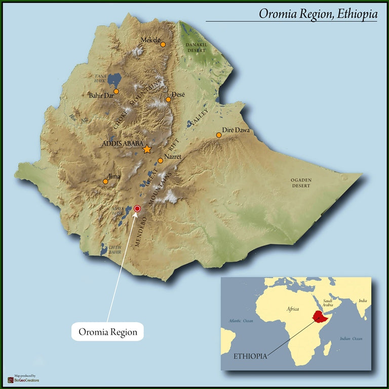 ETHIOPIA YIRGACHEFFE 2 WASHED FT ORGANIC OROMIA - *49264W* - 23561 - Ecotact Bags - SPOT COSEATAC