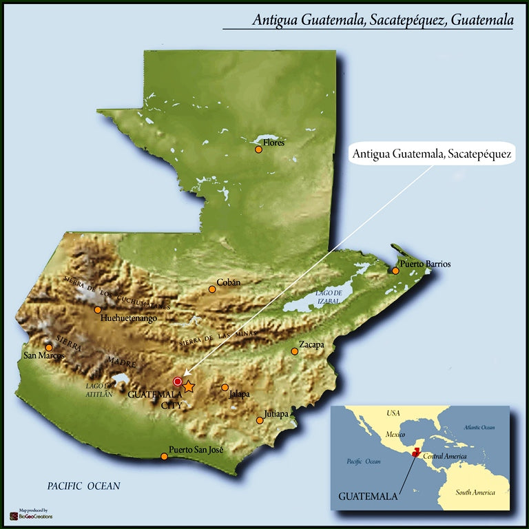 Guatemala Antigua Los Volcanes SHB EP - *48059W* - 25906 - GrainPro Bags - SPOT COSEATAC