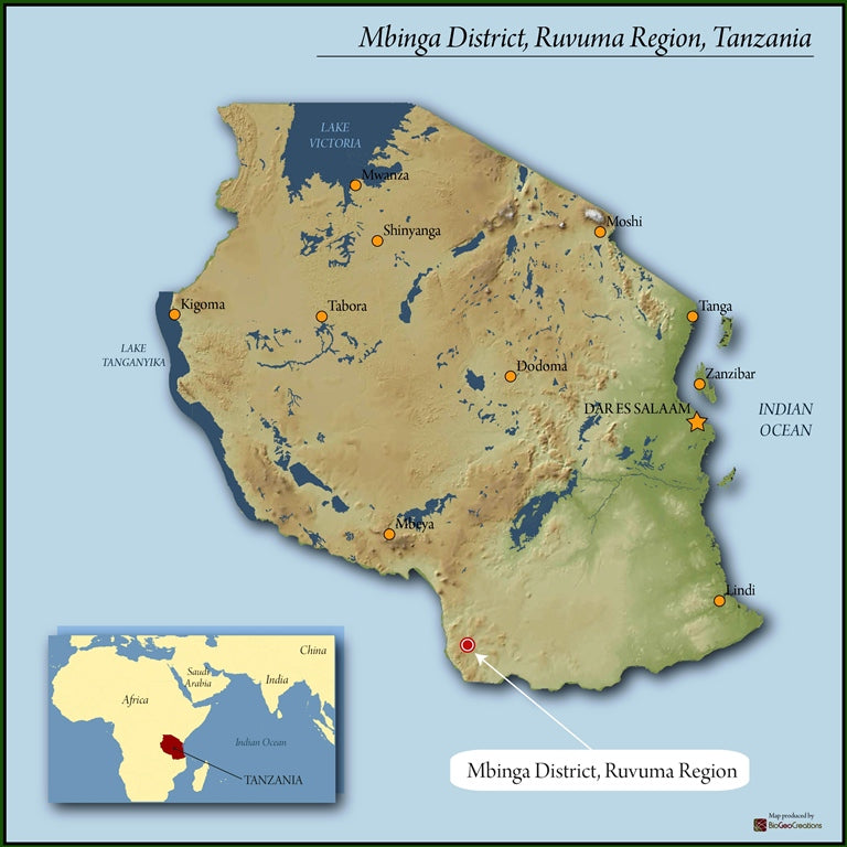 Tanzania Ruvuma Washed Peaberry - *51266* - 25730-5 - GrainPro Bags - SPOT COSEATAC
