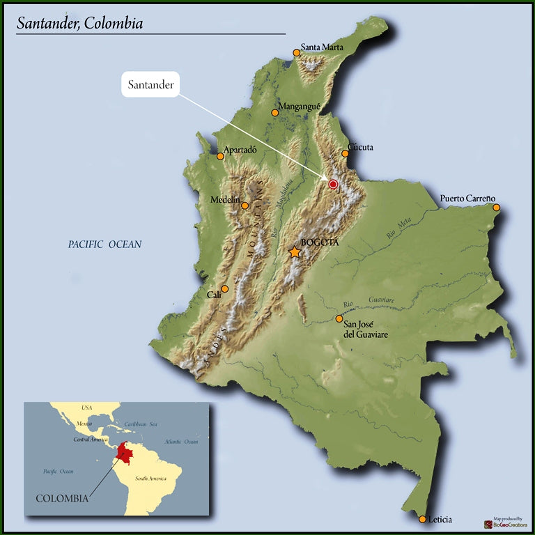 Colombia Bucaramanga Supremo 17/18 - *50471* - 24277 - 69.9 kg Bags - SPOT RCWHSE