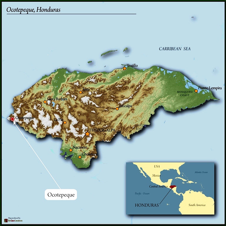 HONDURAS FT-FLO/USA ORGANIC OCOTEPEQUE CAFESMO NATURAL - Lot 144 - 31499 - GrainPro Bags - SPOT COSEATAC