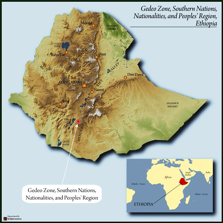 Ethiopia Sidama 2 Washed Bensa Elilichew - 28026 - SPOT DUPUYHOU