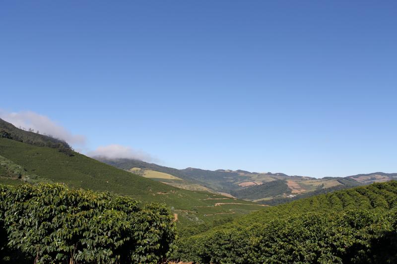 Brazil Fazenda Rainha Yellow Bourbon Pulped Natural 16+ - *50118* - 25972 - Videplast Bags - SPOT RCWHSE