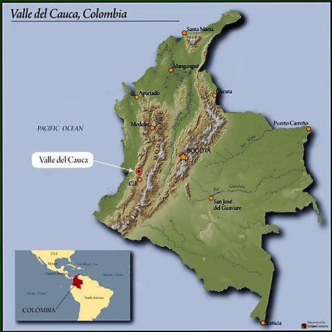 Colombia Valle Del Cauca La Esperanza Estate - *48085C* - 24965 - 70.2 kg GrainPro Bags - SPOT SHANGHAI