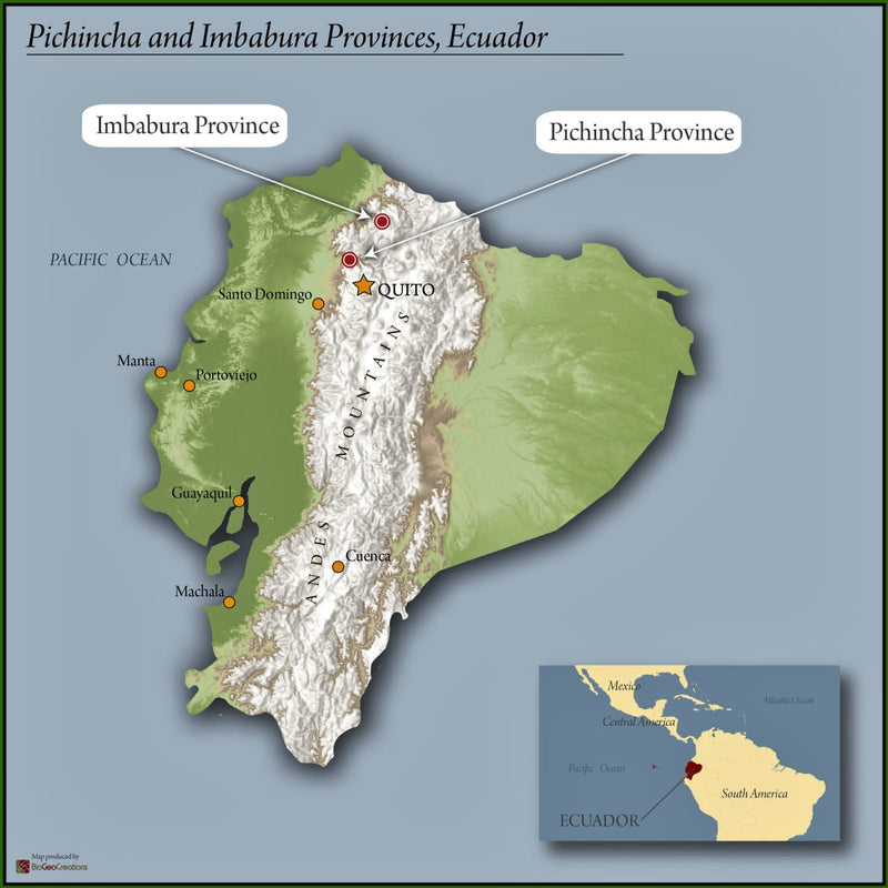 Ecuador Pichincha Imbabura Chirimoya - *51805* - 27275 - 69.0 kg GrainPro Bags - SPOT RCWHSE