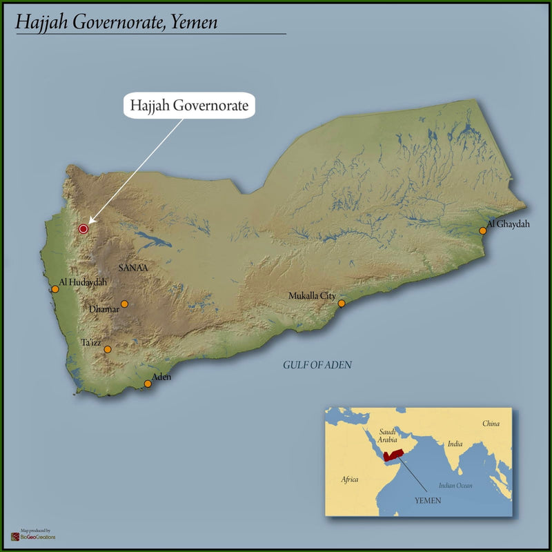 Yemen Mocca Hajjah - *50888* - 24903 - Ecotact Bags - SPOT RCWHSE