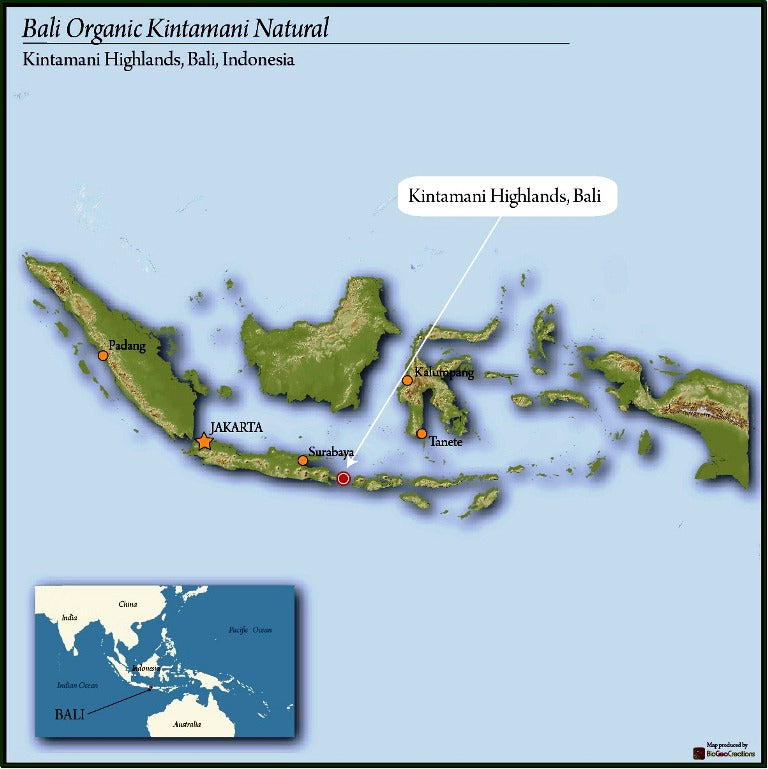BALI ORGANIC KINTAMANI NATURAL - 28961-1 - GrainPro Bags - SPOT SEAFORTH