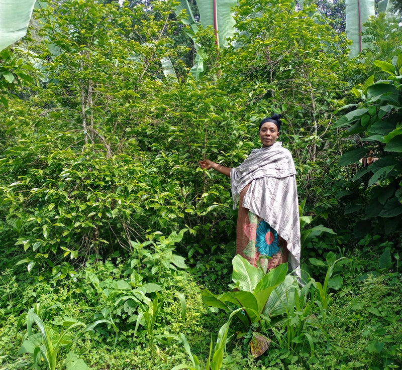 Ethiopia Farmgate COE National Select Jury Guji 1 Natural Aberash Gobena Wadari - 29937 - GrainPro Bags - SPOT RCWHSE