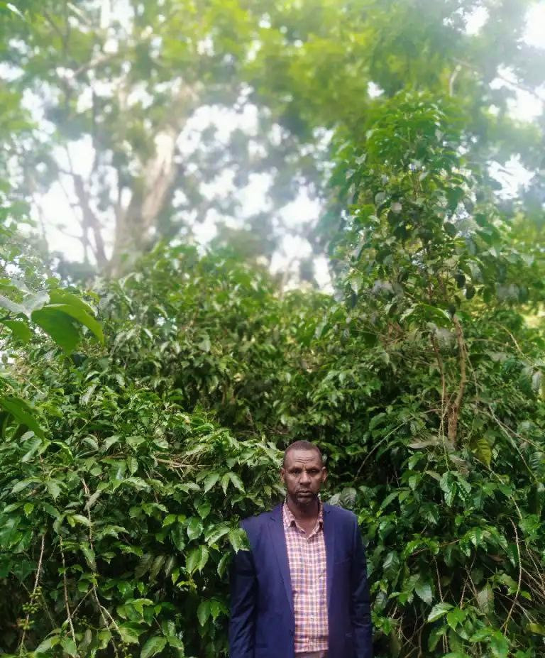 Ethiopia Farmgate COE National Select Jury West Arsi 1 Natural Adem Haro Bararto - 29945-1 - GrainPro Bags - SPOT RCWHSE