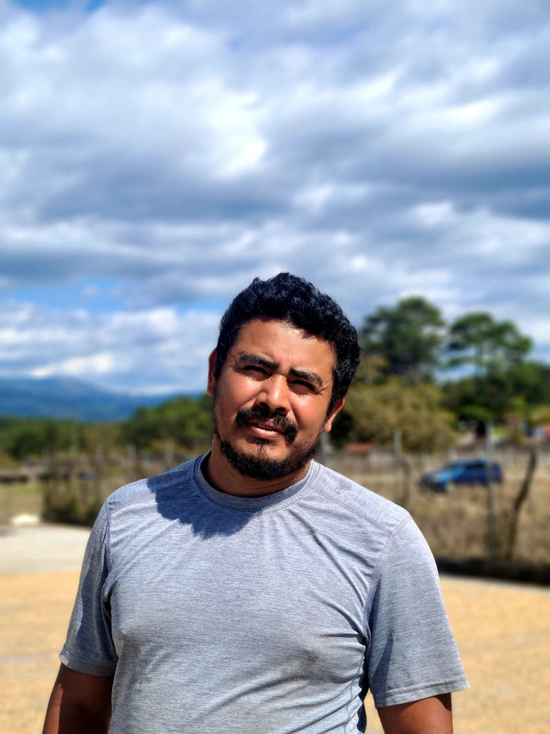 Honduras Lempira Intibuca Adonis Benitez 83+ SHG EP - 36771-1 - GrainPro Bags - SPOT DUPUYHOU