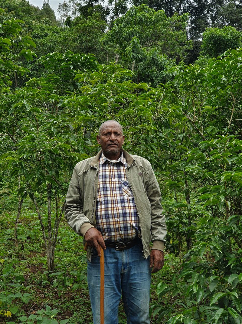 Ethiopia Farmgate COE National Select Jury Yirgacheffe 1 Natural Ageze Balcha Begna - 29929 - GrainPro Bags - SPOT RCWHSE
