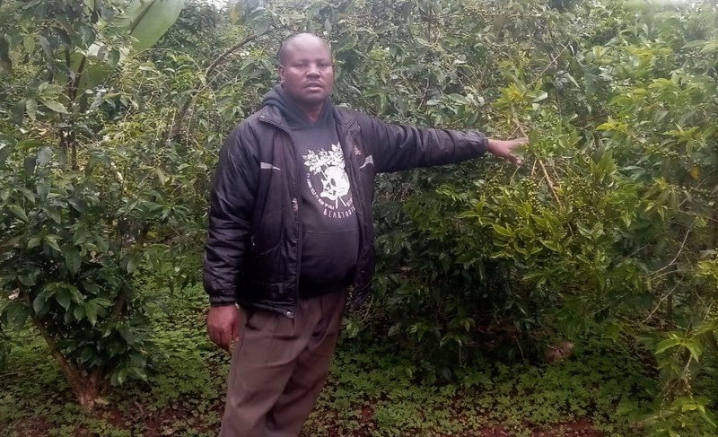 Ethiopia Farmgate COE National Select Jury Yirgacheffe 1 Natural Alemayehu Degoma Berako - 29934-1 - GrainPro Bags - SPOT RCWHSE
